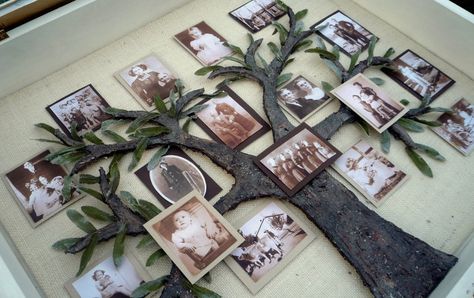 Shadow Box Family Tree Genealogy Crafts, Make A Family Tree, Family Tree With Pictures, Tree Shadow, Photo Craft, Shadow Boxes, Diy Projects To Try, Photo Displays, Family Tree