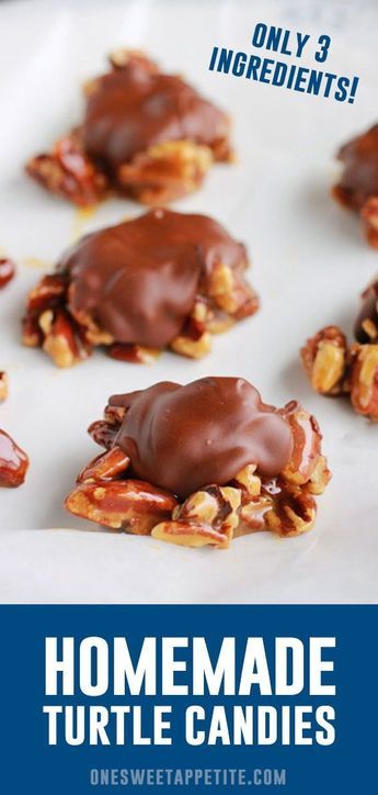 Homemade Turtles Candy. With just four simple ingredients you can have an elegant homemade candy ready for giving! Lightly toast pecans, drizzle with caramel, and top with melted chocolate. Easy Turtles, Pecan Turtles Recipe, Toast Pecans, Turtle Candies, Homemade Turtles, Turtle Recipe, Turtles Candy, Chocolate Turtle, Easy Candy Recipes