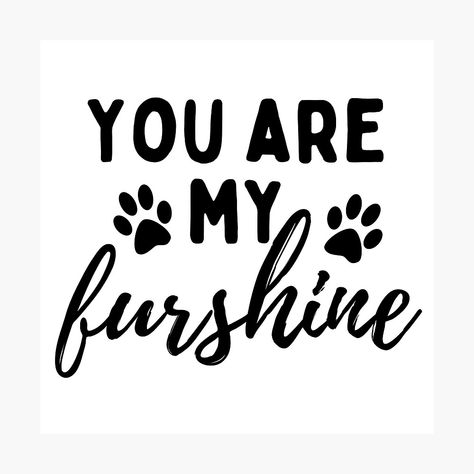 Dog Mom Quotes, Decorative Fonts, Dog Lover Quotes, Dog Diy, Dog Quotes Love, Cartoon Cats, Ig Captions, Dog Pics, Shirt Sayings