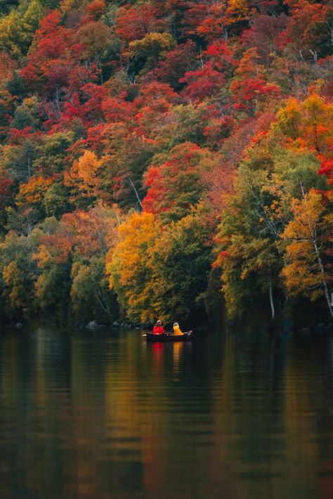 Vermont Foliage, Vermont Fall Foliage, Fall Engagement Shoots, Vermont Fall, Leaves Changing Color, Autumn Lake, New England Fall, Forest Road, Canoes