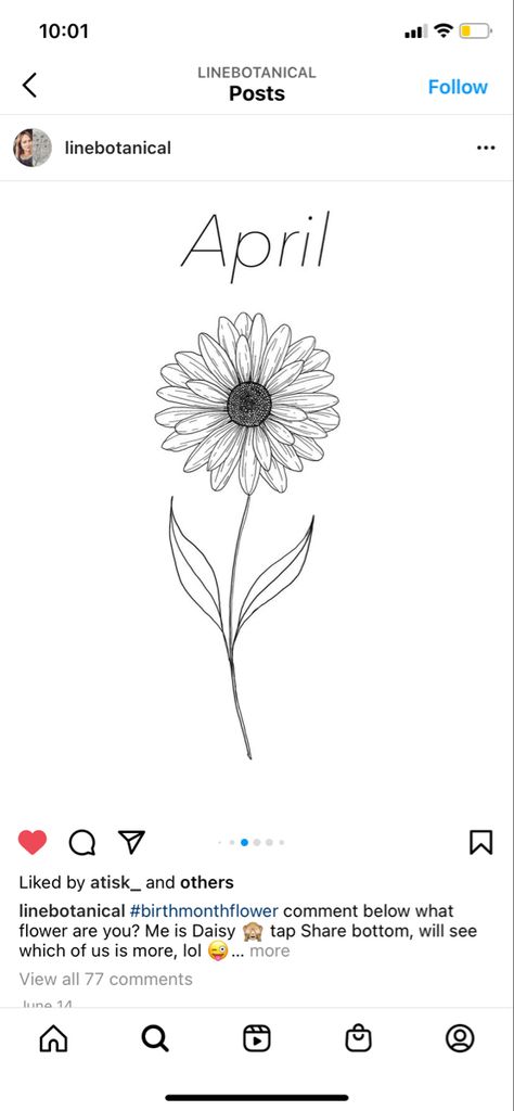 Daisy Birth Tattoo, Detailed Daisy Tattoo, Single Daisy Drawing, Daisy Sketch Tattoo, Birth Flower Daisy Tattoo, Daisy April Tattoo, April Daisy Tattoo, Daisy Aries Tattoo, Single Daisy Tattoo