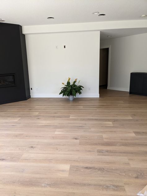 Hallmark LVP vs. Coretec Coretec Wiltshire Oak, Warm Lvp Flooring, Coretec Blonde Oak, Coretec Vinyl Plank Flooring, Coretec Lvp, Modern Farmhouse Flooring, Hallmark Floors, Walls Color, Coretec Plus