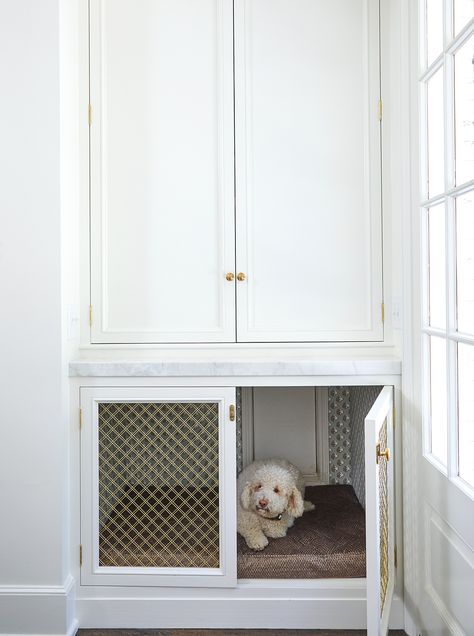 Mudroom Dog Room, G Kitchen, Dog Nook, Dog Cabinet, Floor To Ceiling Cabinets, Diy Dog Crate, Lord Nelson, Dog Spaces, Mudroom Laundry Room