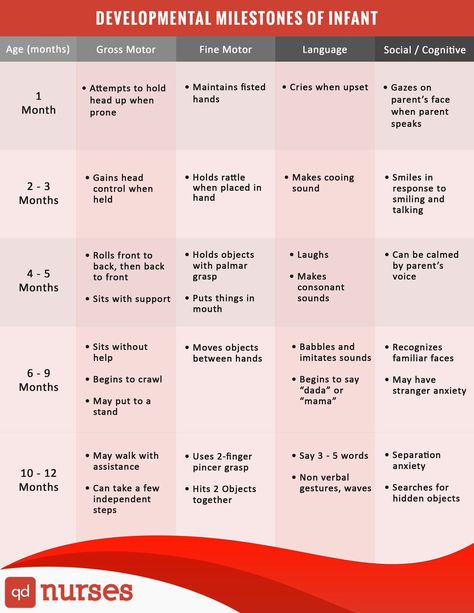 Developmental Milestones of an Infant #nurses #nursing #nclex #chart #meme #pharmacology #nursingschool Developmental Milestones Toddlers, Developmental Milestones Chart, Infant Development, Medical Assisting, Milestone Chart, Newborn Tips, Psychology Notes, Toddler Milestones, Infant Care