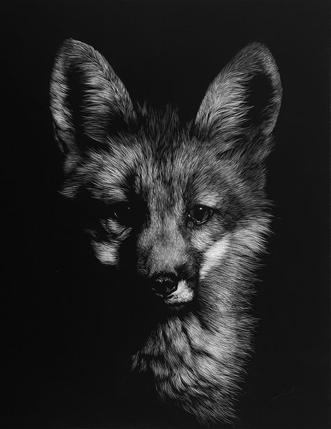 Young Reynaud                                                                                                                                                                                 More In The Dark, A Black, Fox, Black And White, White, Black, Art