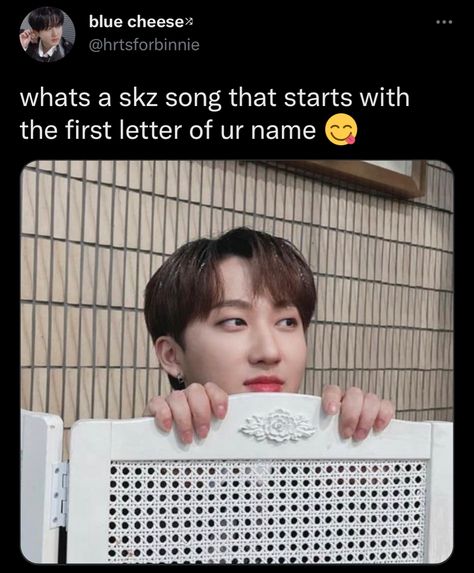 Charmer Skz, Circus Christmas, Skz Changbin, Case 143, Changbin Straykids, Army Memes, The Letter C, Skz Memes, Skz Stay