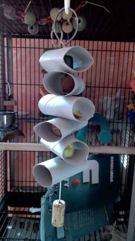 Cockatiel Toys Homemade, Diy Parakeet Toys, Bird Enrichment, Diy Rat Toys, Diy Bunny Toys, Bunny Care Tips, Homemade Bird Toys, Diy Parrot Toys, Budgies Parrot