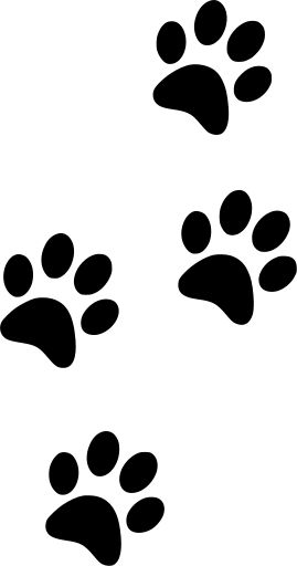 paw animal cat track - Free SVG Image & Icon. Funny Svg Images Free, Dog Paw Svg Free, Dog Paw Print Svg Free, Paw Svg Free, Paw Print Svg Free, Cricut Images Free Svg, Svg Images Free, Paw Template, Paw Stencil