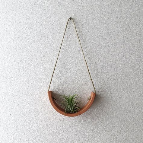 Airplant Wall, Soda Bar, Terracotta Wall, Tillandsia Air Plant, Air Dry Clay Projects, Air Plant Holder, Earthenware Clay, Garden Landscape Design, Wall Planter