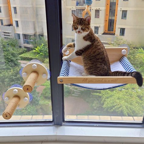 PRICES MAY VARY. 🐾【Climb up and down】: The 2 window stairs make it possible for cats to climb up and down the window perch freely. 🐾【Super safe, 40 lbs weight limit】: 5 strong suction cups, hold up more than 40 lbs weight, and we are offering free replacement. 🐾【Easy to assemble】: Window mounted, no need to damage your wall, no need extra tools, easy to assemble, easy to remove, renter friendly. 🐾【Machine Washable】: 2 side cat hammock, canvas side for hot seasons and plush side for cold seas Window Stairs, Cat Window Hammock, Cat Window Perch, Window Perch, Cat Window, Cat Products, Mouse Toy, Cat Hammock, Wooden Cat