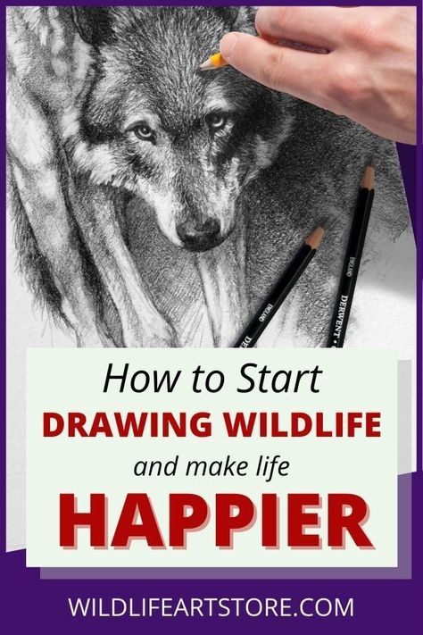 Wolf Face Drawing, Wild Drawing, Art Display Panels, Drawing Wildlife, Wildlife Drawing, Hyperrealistic Drawing, Pencil Drawings Of Animals, Forest And Wildlife, Start Drawing