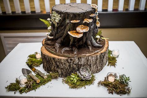 Creative Groom's Cake in the shape of a Tree Stump with Mushrooms and Lichen on Natural Edged Tree Round Cake Stand with Moss, Candles, and Succulents | St Pete Wedding Cake Bakery The Artistic Whisk Tree Stump With Mushrooms, Stump With Mushrooms, Moss Cake, Tree Stump Cake, Succulent Wedding Cakes, Nature Cake, Mushroom Cake, Cupcakes Fondant, Succulent Cake