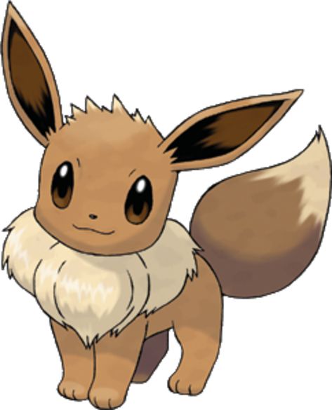 Evee Pokemon Drawing, Evee Pokemon, Pokemon Fantasma, List Of Pokemon, Eevee Cute, Pikachu Drawing, 151 Pokemon, Pikachu Pikachu, First Pokemon