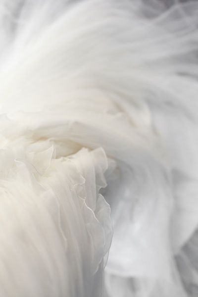 Textil Design, White Tulle, White Feathers, White Texture, Shades Of White, White Aesthetic, Color Textures, All White, Pure White