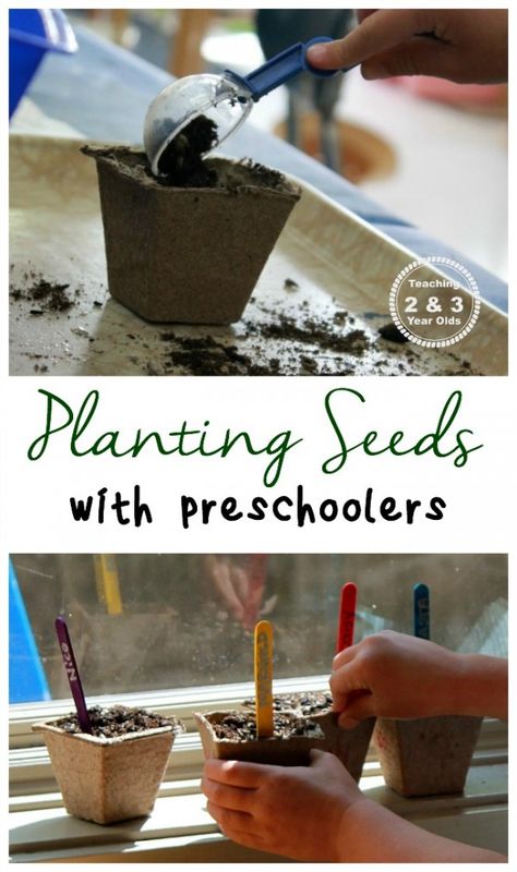 Planting Seeds with Kids from Teaching 2 and 3 Year Olds Gardening Kids Activities, Preschool Garden, Planting For Kids, Garden Activities, Spring Preschool, Preschool Science, Spring Activities, Garden Theme, Preschool Fun