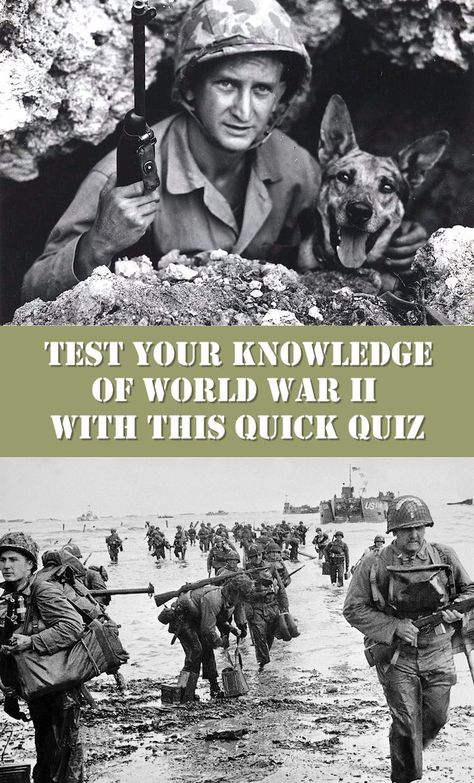 Whether your interest in World War II is just casual, or you consider yourself a true history buff, this short ten-question quiz will help you determine exactly where you stand. Some of the war’s most important people and places are touched on here, so take a few moments to see how you measure up… History Quiz Questions, World Quiz, Ww1 History, History Questions, History Quiz, Ww2 Soldiers, Movie Quiz, Ww2 History, Class Games