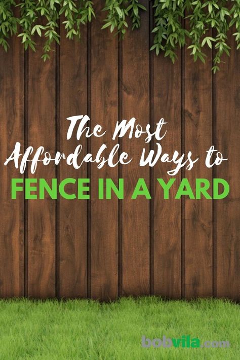 Living Privacy Fences, Cheap Privacy Fence, Diy Backyard Fence, Diy Privacy Fence, Fence Options, Backyard Fence, Privacy Fence Designs, Cheap Fence, Backyard Privacy