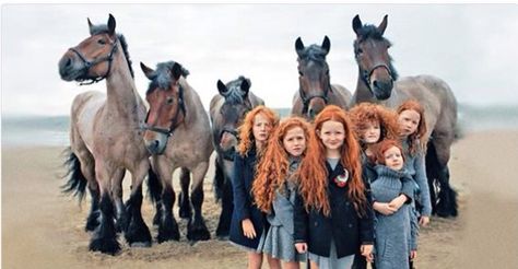 Wow Irish Horse and ginger kids Ireland Beauty, Ireland People, Ireland Pictures, Dark Hedges, Elmer Fudd, Ireland Vacation, Visit Ireland, Irish Heritage, Draft Horses