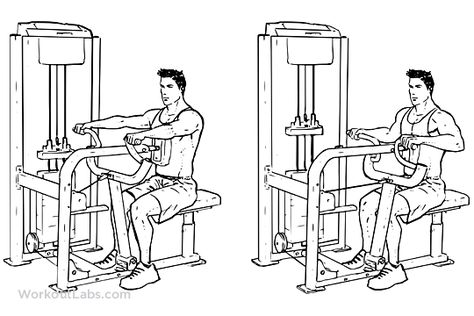 Middle Back Exercises, Seated Row Machine, Seated Row, Arm Machine, Exercise Machine, Gym Machines, Back Row, Fitness Magazine, Shoulder Press