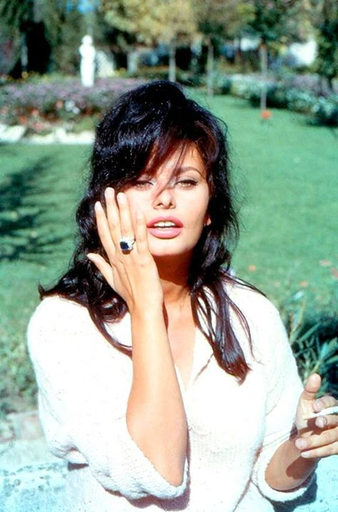 Here is a collection of stunning photos of young Sophia Loren in the 1950s and 1960s. Sophia Loren, A Woman, White