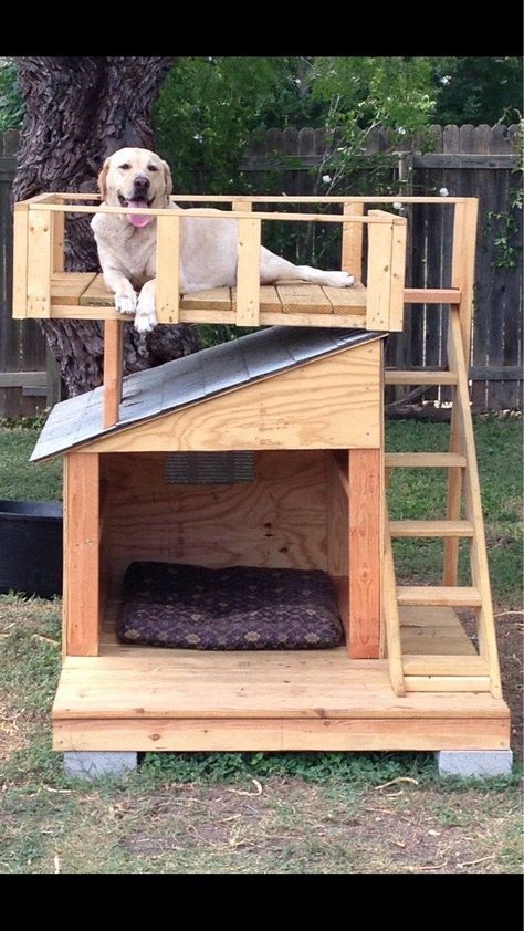 (paid link) The Dog houses: {} Finding all the time homes for dogs isn't easy Pallet Dog House, Dog Backyard, تصميم الطاولة, Outdoor Dog House, Dog House Plans, Cool Dog Houses, Dog Spaces, Dog Yard, Dog Playground