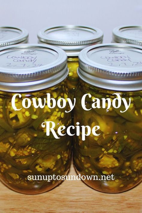 Today we’re sharing a recipe for Cowboy Candy.  These candied jalapenos are the perfect combination of sweet and spicy! #Cowboy Candy #Cowboy Candy Recipe #DIY Cowboy Candy #Homemade Cowboy Candy #Cowboy Candy Jalapenos #Candied Jalapeno Recipe #DIY Candied Jalapenos #Homemade Candied Jalapenos #Cowboy Candy Canning Recipe #Candied Jalapeno Canning Recipe #Sweet and Spicy Jalapenos #How to Can Cowboy Candy Cowboy Candy Recipe For Canning, Cowboy Candy Bbq Sauce Recipe, Recipe For Cowboy Candy, Pickled Jalapenos Recipe Cowboy Candy, Cowboy Candied Jalapenos, Candy Jalapeno Recipe, Cowboy Jalapeno Candy, Cowboy Candy Jalapenos Easy, Jalapeño Candy