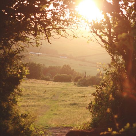 Friday | I like this place. (Ridgeway, Newport, South Wales… | Flickr Favorite Albums, Belle Nature, Alam Yang Indah, Nature Aesthetic, Pretty Places, Country Life, Photo Profil, Outlander, Pretty Pictures