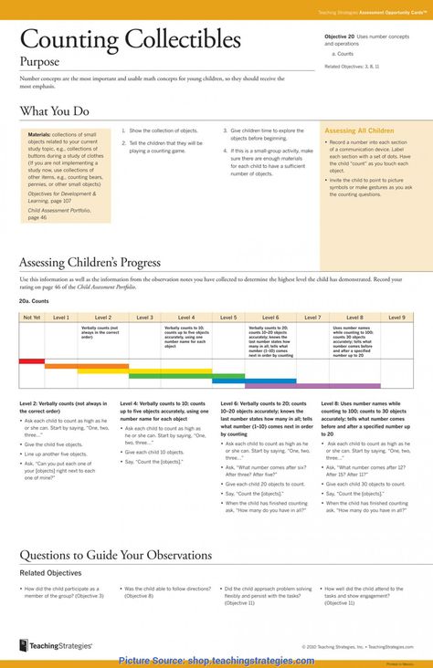 Teaching Strategies Gold Objectives, Teaching Strategies Creative Curriculum, Teaching Strategies Gold, Creative Curriculum Preschool, Lesson Plan Template, Science Lesson Plans, Creative Curriculum, Homeschool Kindergarten, Foundational Skills