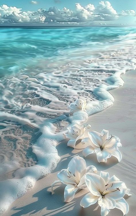 Prompt 👉Bouquet of white lilies lying on white sand washed by foamy turquoise surf wave, fantastic, photorealistic picture, tumblr, breathtaking beautiful white beach, detailed lily flowers, wonderful reflection of the sky, close-up!!!!!! Fantastic beautiful wallpaper on iPhone]r 👉 if Like, please Follow and Share AI Graphics Studio 👇Contact on WhatsAPP: http://tiny.cc/aigraphicsstudio #aigraphicsstudio #AI #DigitalMarketing #digitalartist #digitalart #digital #creativephotography #designin... Beautiful Water Wallpaper, Flowers In Water Wallpaper, Beauty Background Wallpaper, White Nature Wallpaper, Wallpaper Backgrounds White, White And Blue Wallpaper, Waves On Beach, Ocean Pics, White Flower Wallpaper