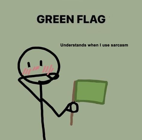 Green Flag Aesthetic, Green Flags, Green Flag, Be My Friend, Funny Relatable Quotes, Fb Memes, Silly Me, I Can Relate, Get To Know Me