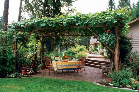 By Rosalind Creasy Mother Earth News Landscape design doesn't have to stop with strictly ornamental plants — plenty of food-producing plants are gorgeous, too. As the gardening season winds down, i... Garden Ideas Australia, Grape Arbor, Arbor Decor, Patio Pergola, Garden Vines, Garden Arbor, Backyard Pergola, Deck With Pergola, Edible Landscaping