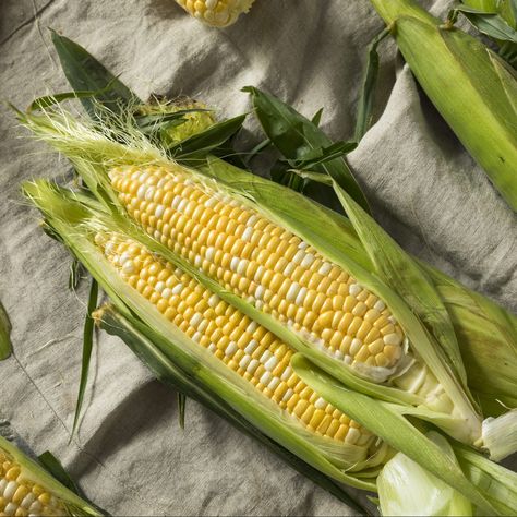 Cooking Sweet Corn, Corn In The Oven, Oven Roasted Corn, Cook Corn, Spicy Corn, How To Cook Corn, Peaches And Cream, Roasted Corn, Corn Recipes