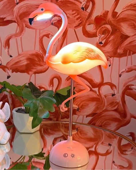 Enjoy a FREE set of Flamingo String Lights with every purchase of our Flamingo Touch Desk Lamp! 🦩✨ Claim Yours Now - Product tagged in photo and website link in bio! Flamingo Aesthetic, Touch Desk, Flamingo Diy, Flamingo Lamp, Calm Night, Festival Themed Party, Glam House, Coastal Room, Flamingo Decor