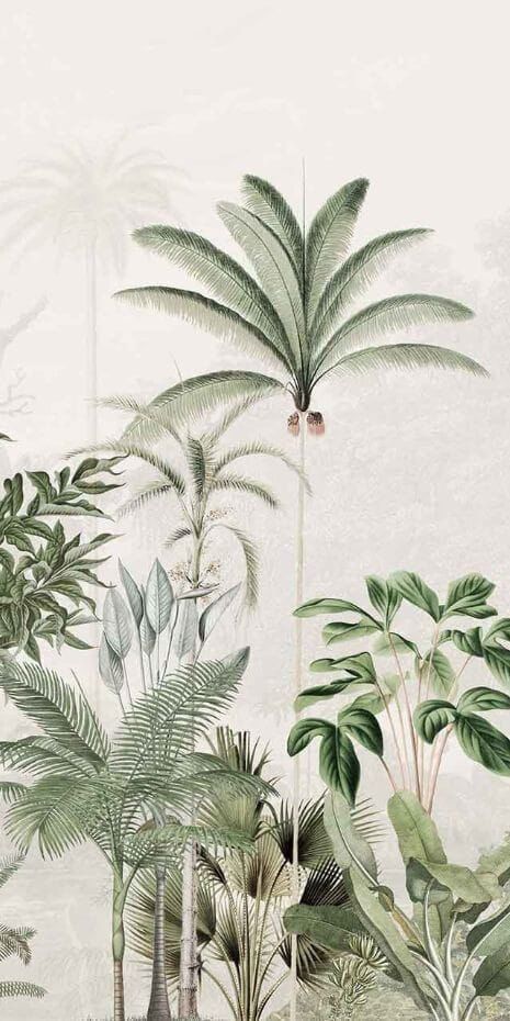 Textured Mural, Tropical Restaurant, Types Of Wallpaper, Modern Floral Wallpaper, Wal Art, Portrait Vintage, Tropical Wallpaper, Wallpaper Tumblr, Arte Inspo