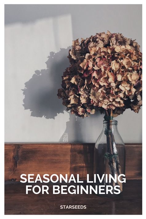 Living Seasonally, Mother Culture, Cottagecore Life, Secret Identity, Creative Thoughts, Better Lifestyle, Seasonal Living, Mental Health And Wellbeing, Mind And Soul