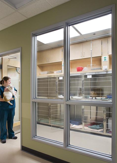 Vet Hospital Design, Animal Hospital Design, Veterinary Hospital Design, Dog Daycare Design, Vet Office Decor, Animal Shelter Design, Hospital Ideas, Vet Practice, Vet Hospital