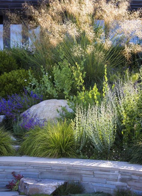 Sneak Peek: Garden Design Magazine's Wild Gardens - Gardenista Ferns For Shade, California Landscaping, Gardening Tattoo, Gardening Wallpaper, Tools Tattoo, Vertical Garden Plants, Gardener Aesthetic, Garden Aesthetics, Wallpaper Garden