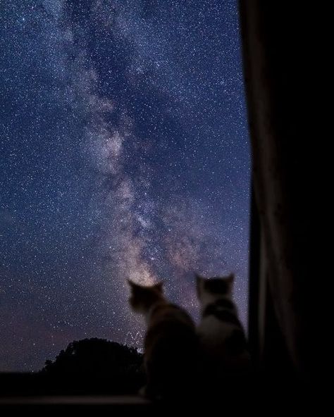 Star Gazing Aesthetic, Stargazing Aesthetic, Psalm 8, Star Gazing, Space Stars, Look At The Stars, Space And Astronomy, Night Aesthetic, Sky Aesthetic