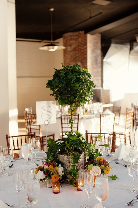 #topiary, #centerpiece  Photography: Robert & Kathleen Photographers - robertandkathleen.com Floral Design: Elan Flowers - elanflowers.com Wedding Day Coordination: La Vie en Rose Events - lvrevents.com  Read More: http://stylemepretty.com/2012/09/26/liberty-warehouse-wedding-from-robert-kathleen-photographers/ Topiary Wedding, Topiary Centerpieces, Tree Centerpieces, Warehouse Wedding, Urban Gardening, Topiaries, Wedding Tablescapes, New York Wedding, Floral Centerpieces