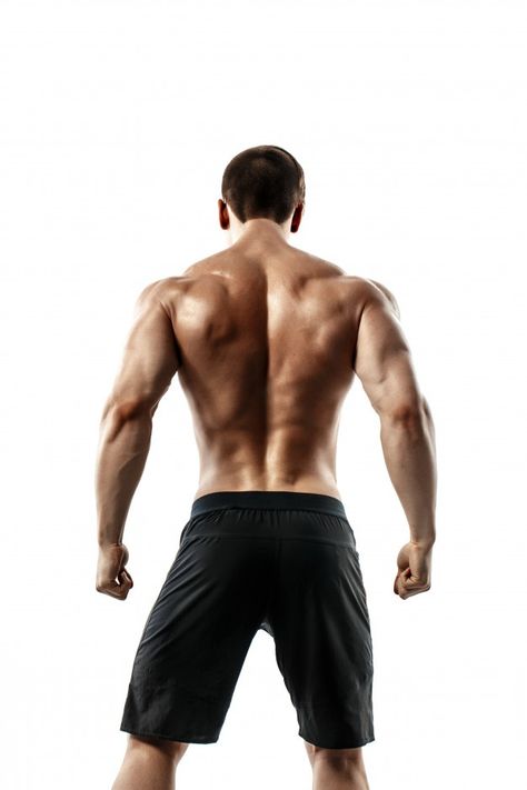 Back view of unrecognizable man, strong ... | Premium Photo #Freepik #photo #background #hand #man #sports Mens Back Muscles Aesthetic, Muscular Man Back Reference, Strong Back Reference, Muscular Back Male Reference, Reference Back Pose, Man Back Pose Reference, Muscle Back Men, Man Back View Drawing, Anatomy Back Reference