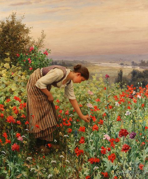 KNIGHT, DANIEL RIDGWAY (1839-1924) Girl Picking Poppies Art Amour, Galleria D'arte, Picking Flowers, Art Ancien, Art Classique, Art Et Illustration, Paintings I Love, Dmc Floss, Art And Illustration