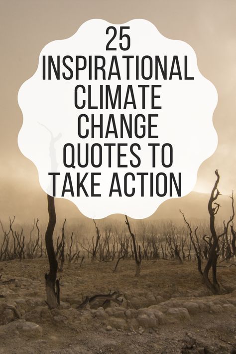 #Climate change is among the problems that require the effort and participation of everyone.Discover in this post 25 of the most inspiring #climate change quotes quoted by some of the most important people in our planet. Quotes About Climate, Save Nature, Simple Quotes, Help The Environment, Climate Action, Wise Words Quotes, Important People, Aesthetic Words, Change Quotes