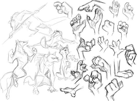 #paws #canid #canine #hands #fingers Paw Hand, Paw Drawing, Draw A Face, Creature Concept Art, Animal Sketches, Anatomy Art, Art Poses, Art Tutorials Drawing, Art Inspiration Drawing