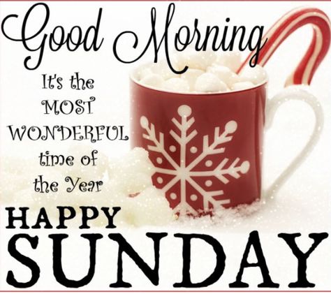 Happy Christmas Sunday Sunday December Quotes, December Sunday Morning Quotes, Winter Sunday Morning Quotes, Sunday Christmas Quotes, Happy Sunday Christmas Images, Happy Sunday Christmas, Sunday Christmas, Christmas Sunday, Good Morning Christmas