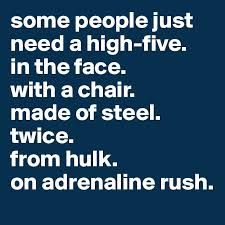 some people just need a high-five. in the face. with a chair. made of steel. twice. from hulk. on adrenaline rush. Adrenaline Rush, Toxic People, High Five, Sarcastic Humor, A Chair, Some People, Make Me Happy, Beautiful Words, Hulk