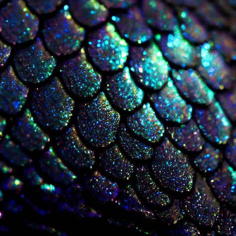 Teal Fairy Aesthetic, Fish Scales Aesthetic, Black Mermaid Tail Art, Dark Iridescent Aesthetic, Blue Dragon Aesthetic, Scales Aesthetic, Merman Aesthetic, Black Mermaid Tail, Siren Scales