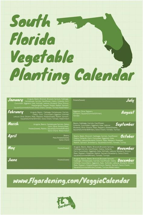 South Florida is different than north and central Florida, instead of two separate growing seasons it has one extended growing period. Seeing frost and freeze in south Florida is not unheard of but it is very rare. #plants #outdoorgardening #gardeningtips #gardening North Florida Gardening, South Florida Gardening, Garden Ideas Tropical, Central Florida Gardening, What To Plant When, Vegetable Planting Calendar, Vegetable Planting, Garden Wedding Venues, Florida Garden