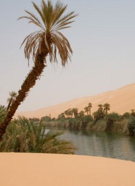 Desert Oasis Aesthetic, Egypt Oasis, Oasis Photography, Ancient Egypt Aesthetic, Egypt Aesthetic, Desert Aesthetic, Deserts Of The World, Architecture Ideas, Design Salon