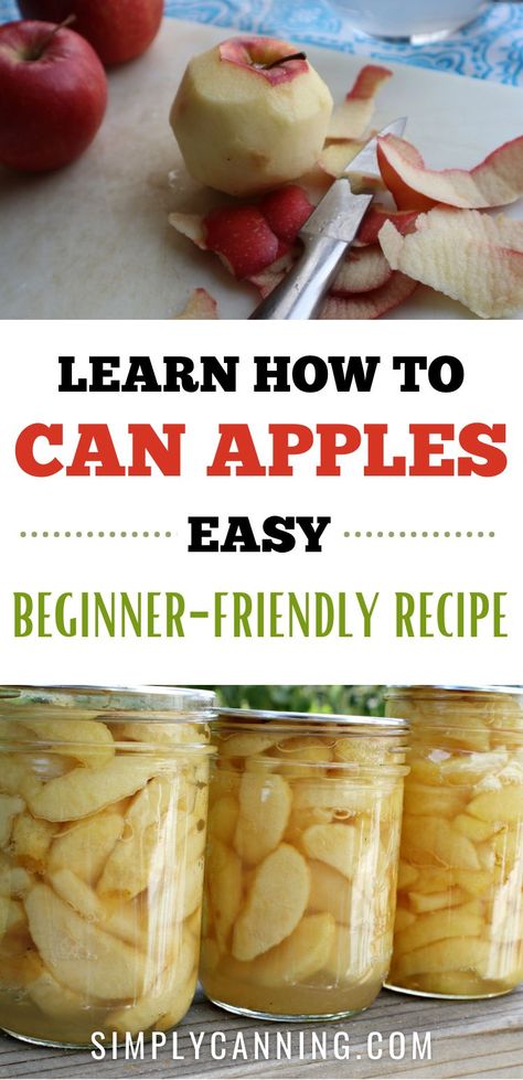 Canning Apples:  Learn how to can apples with easy beginner friendly canning recipe. Customize sugar levels with tips from #SimplyCanning. 🍎🍏 #CanningApples #Apples https://www.simplycanning.com/canning-apples/ Apples Canning, Apple Recipes For Canning, Can Apples, Preserving Apples, Canning Apple Pie Filling, Canning Applesauce, Canning Apples, Easy Canning, Pressure Canning Recipes