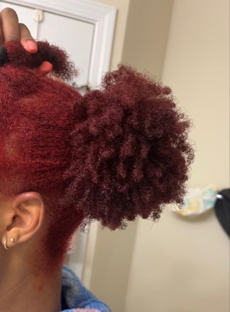 Maroon Tinted Hair, Maroon Hair Dye Black Women, Maroon Hair Burgundy Wine Black Woman, 4c Red Natural Hair, Dark Red Afro Hair Natural 4c, Maroon Natural Hair Black Women, Maroon Hair Color On Black Women, Cherry Red 4c Hair, Red 4c Hair Black Women